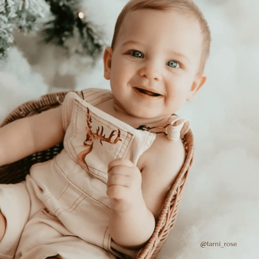 Christmas Reindeer Overalls