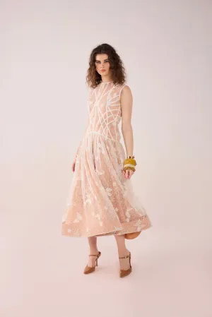 Vanna Structured Lace Midi